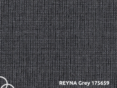 reyna-grey-175659_1608129221-6fe2a82d4cc152ab7d62e4102c29a56a.JPG